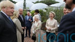 The Queen and Boris Johnson: Constitutional problems, parties and apologies