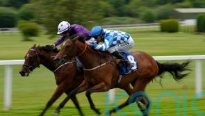 O’Meara banking on ‘sharper’ Maria Branwell at Salisbury
