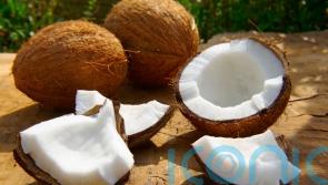 The health pros (and cons) of coconuts
