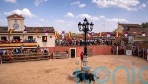 Eight deaths shine spotlight on Spain’s bull running festivals