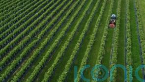 Gas prices to push up farmers’ fertiliser costs by nearly £2bn