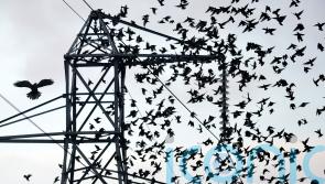 Ofgem executive given role of keeping the lights on over winter