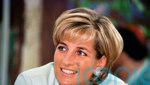 We will ensure BBC donation honours Diana’s legacy, says charity boss
