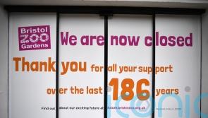 Bristol Zoo shuts its doors as tearful visitors and staff say a final goodbye