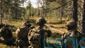 British troops join cold weather exercises with Swedish and Finnish armed forces