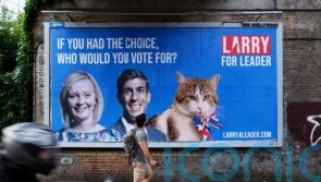 Twitter users delighted to see billboards announcing Larry the cat’s bid for PM