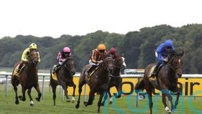 Naval Power rises to the top in Ascendant Stakes