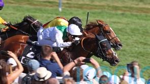 Piechulek dreaming of another Arc – this time with Mendocino