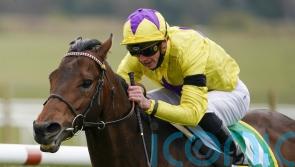 My Oberon to continue his racing career in Australia