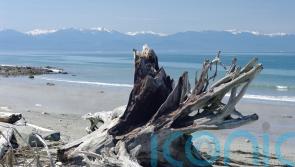 At least one dead and eight missing after seaplane crash near Seattle