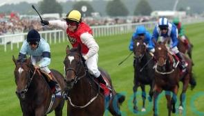 Darley recalls ‘brilliant day’ Bollin Eric struck St Leger gold