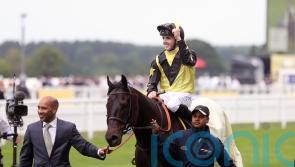 Goldream perfectly illustrates invaluable work of New Beginnings