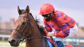 ‘Serious performance’ from Dreamloper points towards Breeders’ Cup
