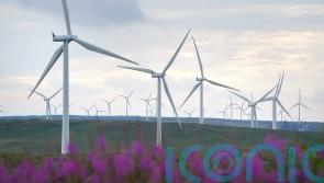 National Trust says wind farms should be halted in remote, wild land