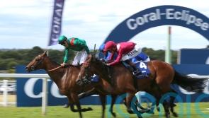 Irish Champion remains the number one focus for Vadeni