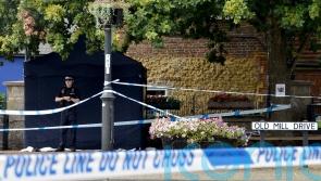 Sussex murder suspect released on conditional bail