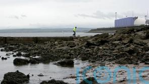 Nationalise water companies to help reduce sewage pollution, ministers told