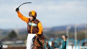 National hero Waley-Cohen excited for riding return