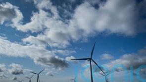 Public backs wind and solar farms to reduce energy bills, poll suggests
