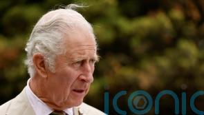 Prince of Wales to host global symposium on allergies