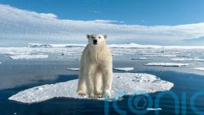 The best bucket list icy holidays inspired by Frozen Planet II