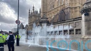Animal Rebellion activists arrested after dairy farms protest outside Parliament