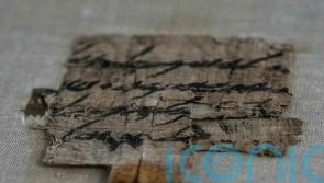 Israel acquires ancient papyrus with Hebrew inscription from US resident