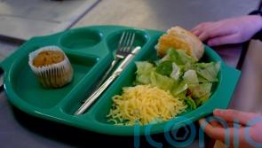 Free school meals should be extended to all pupils urgently – EIS