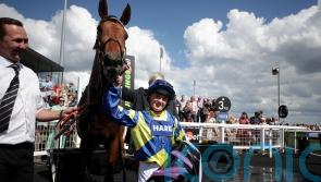 King eager to take the wraps off Trueshan in Doncaster Cup