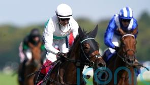 Mimikyu the Park Hill queen for Gosdens and Dettori