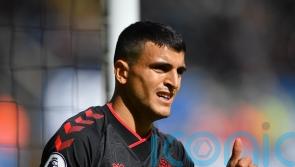 Mohamed Elyounoussi and Ibrahima Diallo available for Southampton