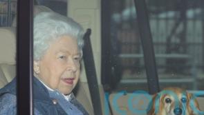 Royal website, churches and local councils open books of condolence for Queen