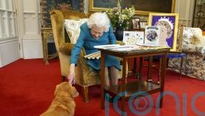 Corgi owners say community has ‘lost part of our world’ with Queen’s death