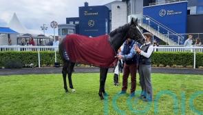 Smart O’Brien prospects face off at Leopardstown