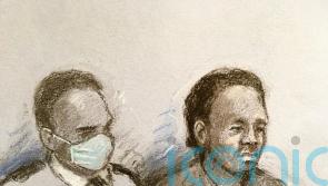 Man admits stabbing four members of same family to death but denies murder