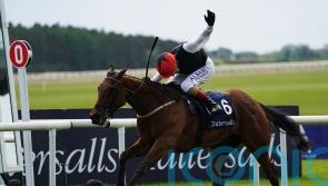 Homeless Songs ‘in great order’ for Leopardstown showdown