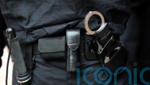 Man arrested over deaths of mother, 44, and daughter, 12