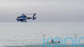 Five dead after boat capsizes in possible collision with whale in New Zealand