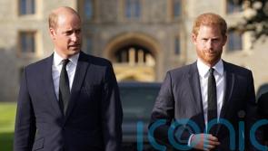 In Pictures: Brothers united in grief for Windsor Castle walkabout