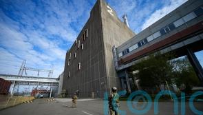 Final reactor at Ukraine nuclear plant shut down after power restored