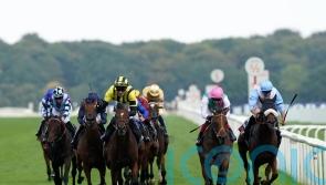 Connections thrilled with Haskoy run, and will appeal Leger demotion