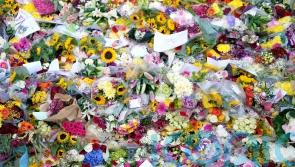 Charities offer mental health support for people struggling after death of Queen