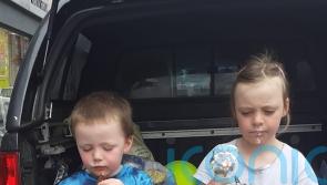 Criminal investigation launched into car fire that left two children dead