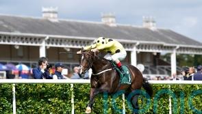 Late call, but Cold Case could make swift Mill Reef reappearance