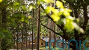 Center Parcs reverses decision to kick out guests for day of Queen’s funeral