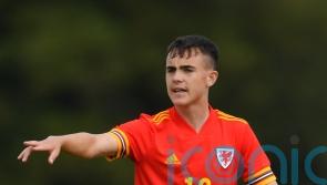 Luke Harris earns chance to impress Wales ahead of World Cup