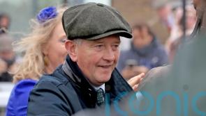 Quinn keen to take on Naas Challenge with Signora Camacho