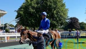 Shaara holds on in Yarmouth thriller