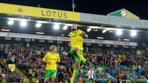 Teemu Pukki bags a brace as Norwich beat Bristol City to keep winning run going