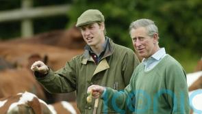William’s Duchy finance team meeting after inheriting £23m per year income